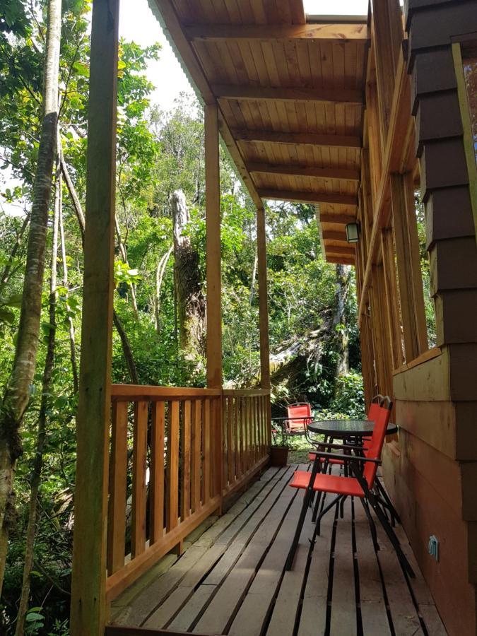 Finca Terra Viva Monteverde Esterno foto
