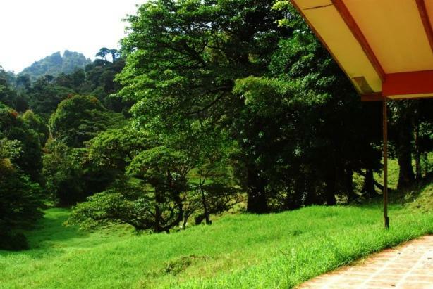 Finca Terra Viva Monteverde Esterno foto